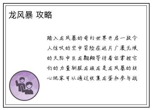 龙风暴 攻略